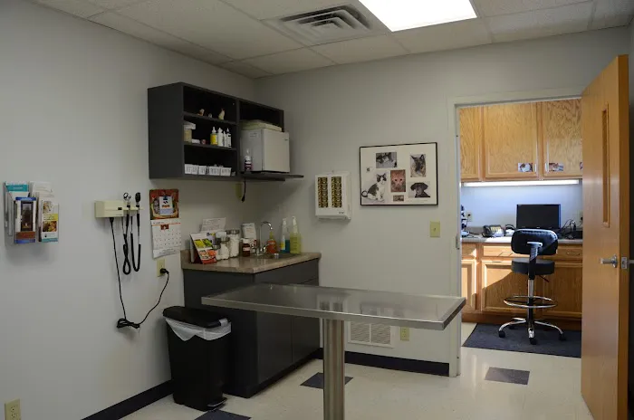 Washington Veterinary Medical Clinic 2