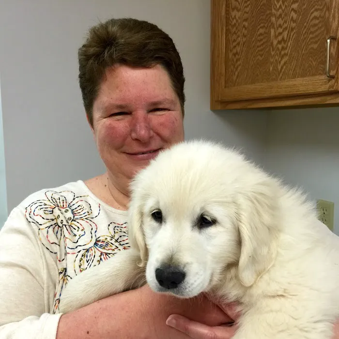 Washington Veterinary Medical Clinic 7