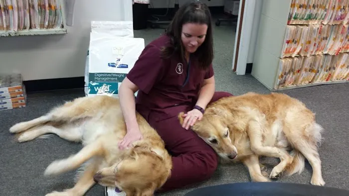 Germantown Hills Animal Hospital 4