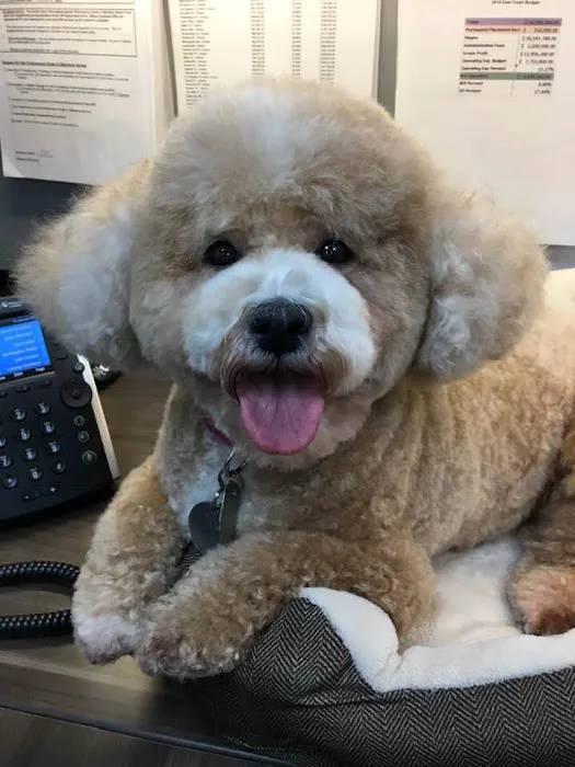 Tender Care Animal Hospital 3