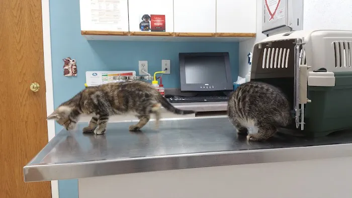 Tender Care Animal Hospital 2