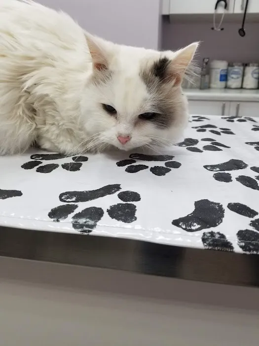 Tender Care Animal Hospital 1