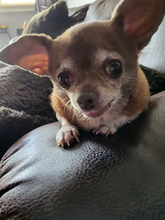 Morton Animal Hospital 7