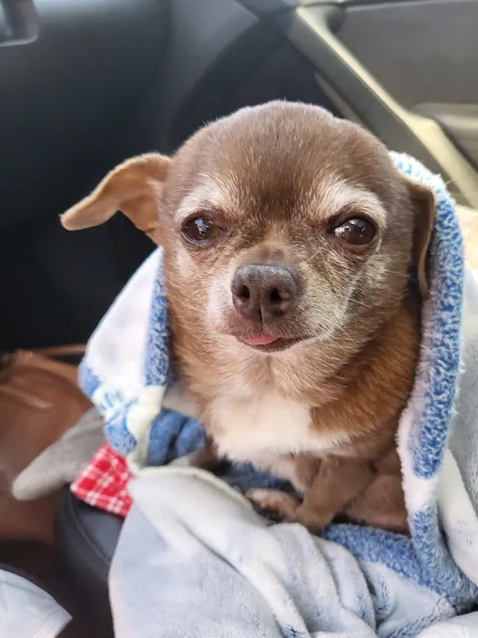 Morton Animal Hospital 5