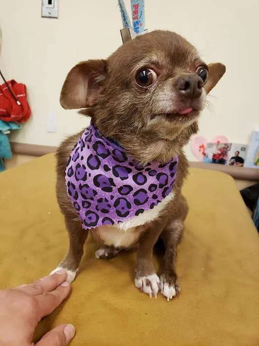 Morton Animal Hospital 8