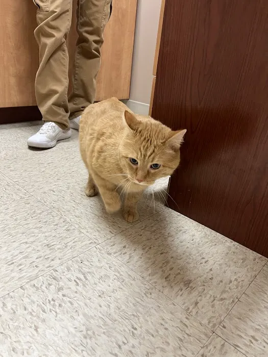 Heartland Veterinary Clinic 10