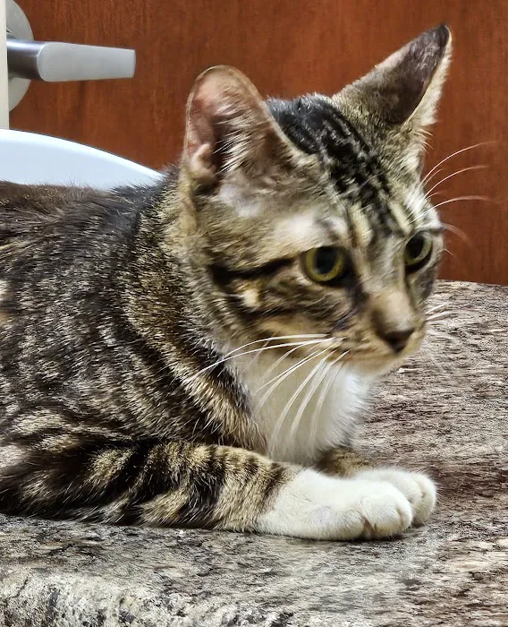 Heartland Veterinary Clinic 9