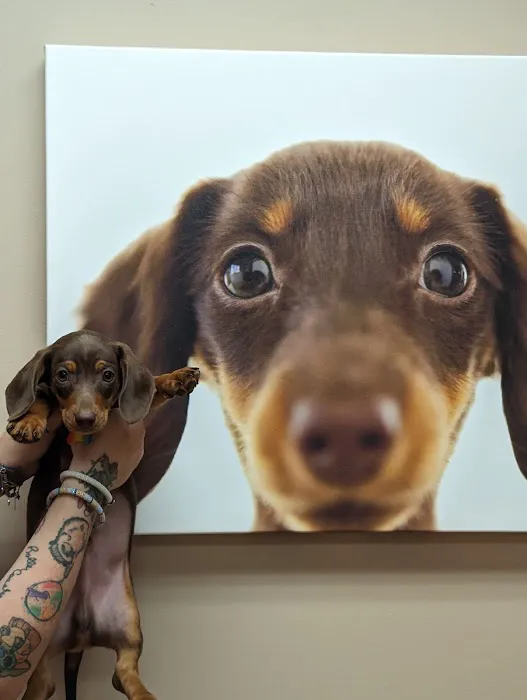 Heartland Veterinary Clinic 6