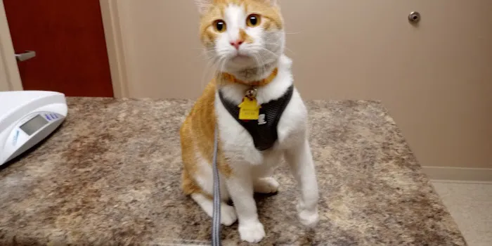 Heartland Veterinary Clinic 7
