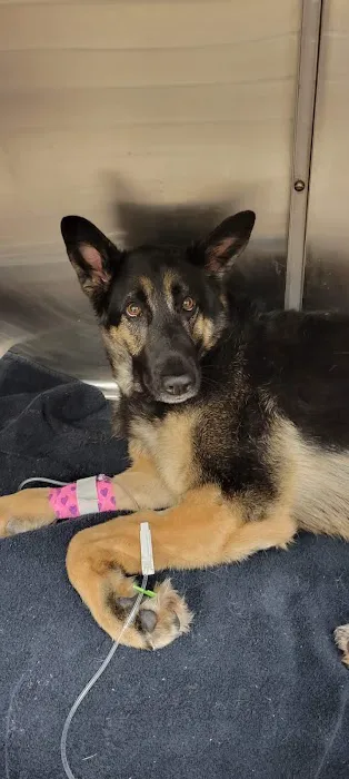 Pine River Veterinary Clinic 4