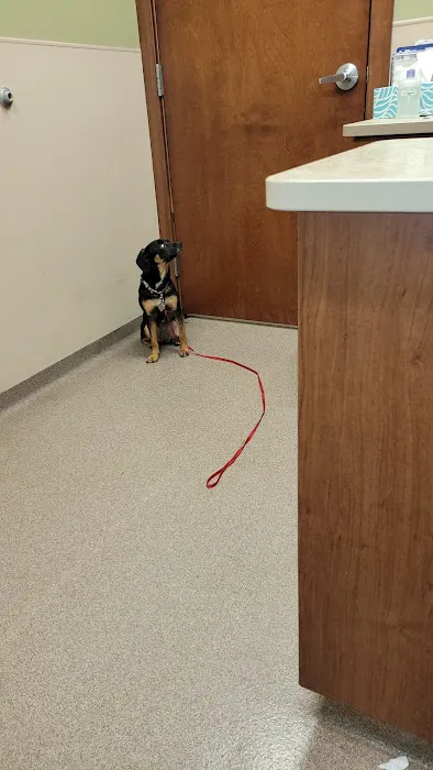 Pine River Veterinary Clinic 8