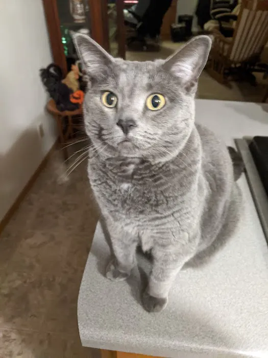 Richland Veterinary Services 3