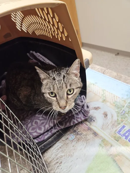 Fennimore Veterinary Clinic 6