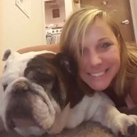Driftless Veterinary Service, LLC ico