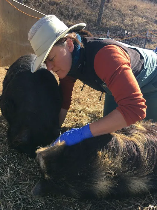 Driftless Veterinary Service, LLC 2