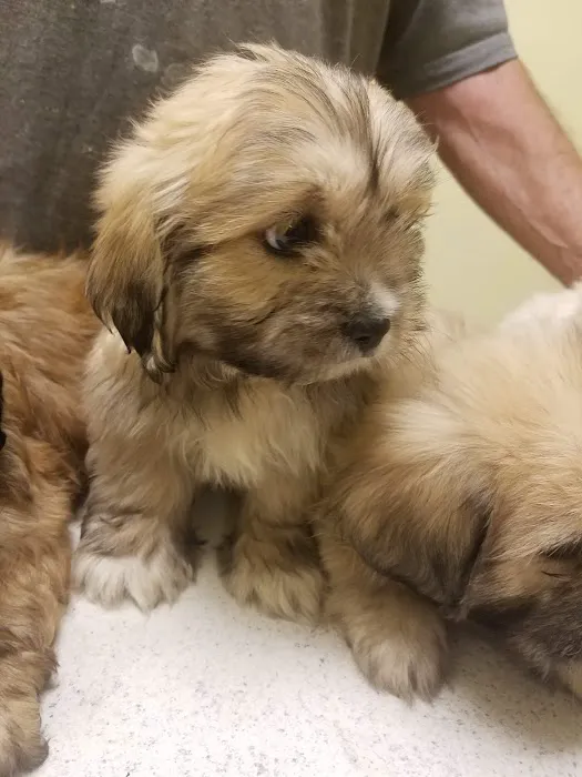 Masterson Veterinary Clinic 7