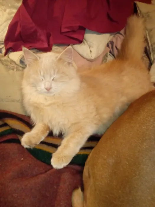 Masterson Veterinary Clinic 8