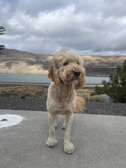 Bailey Veterinary Clinic 12