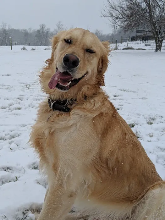 Bailey Veterinary Clinic 12