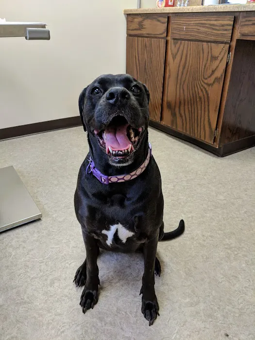 Newark Veterinary Hospital 12