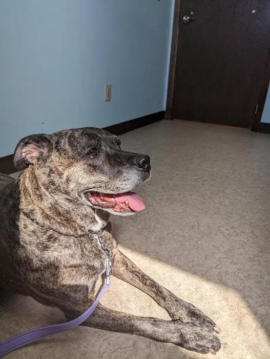 Newark Veterinary Hospital 12