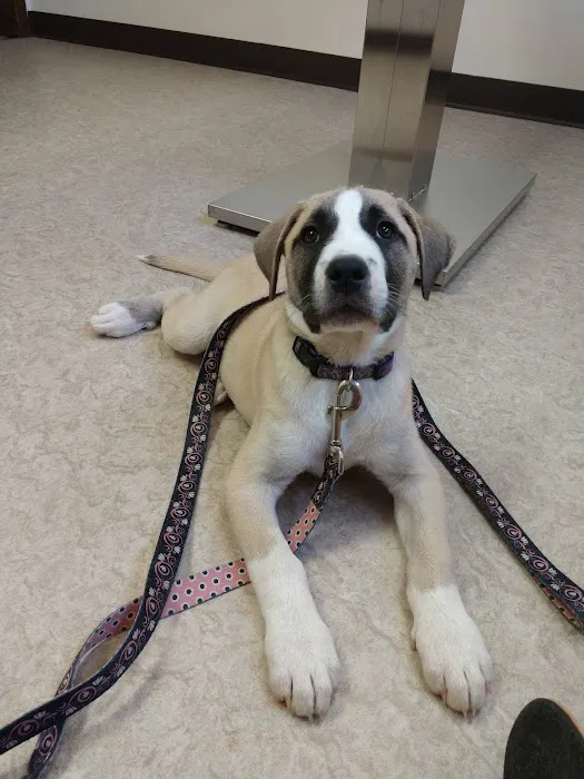 Newark Veterinary Hospital 12