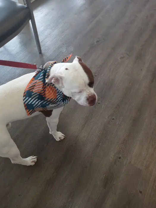 ValuVet Wellness Newark 12