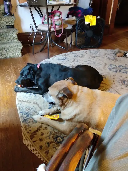 Cold Spring Animal Clinic. Phones answered after hours for assistance and scheduling. 12
