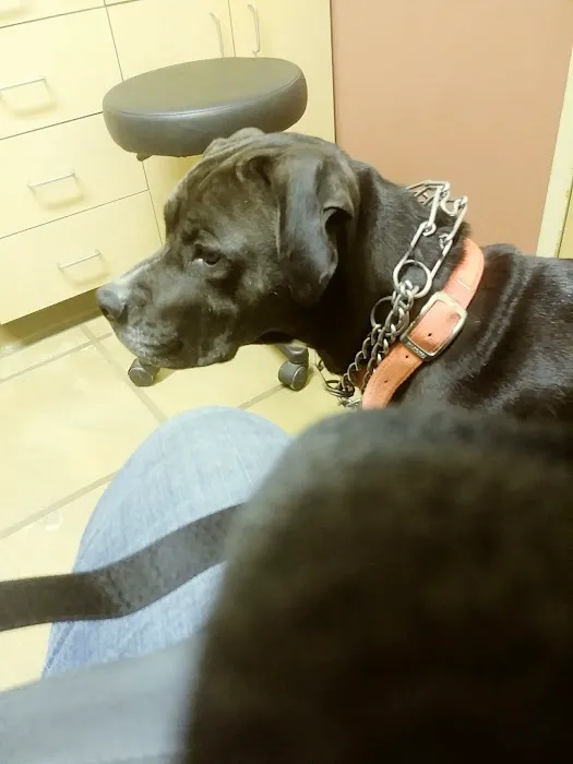 Utica Animal Care Center 5