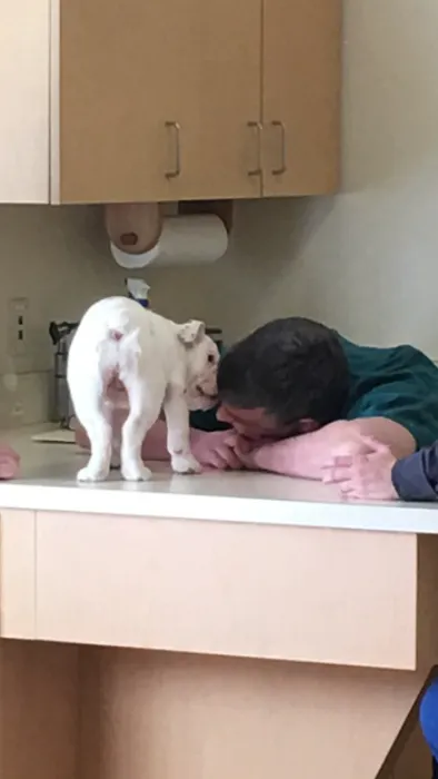 Utica Animal Care Center 8