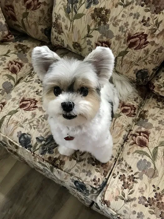 Utica Animal Care Center 2