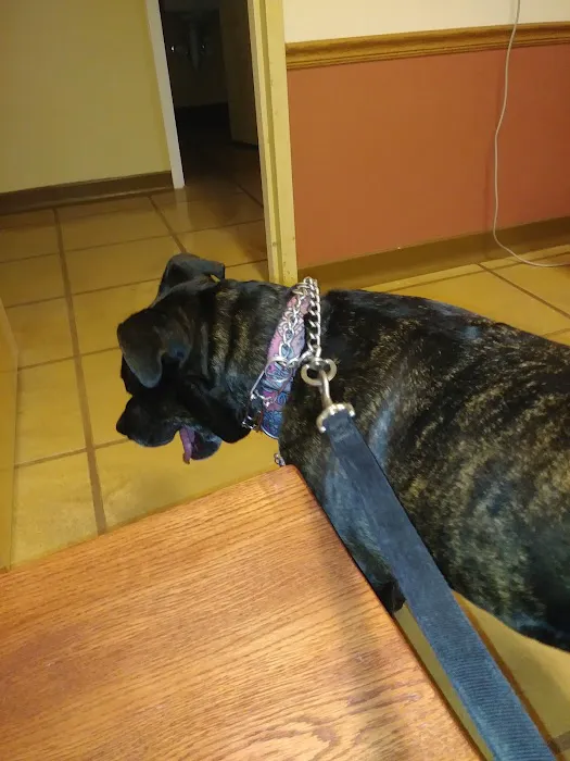 Utica Animal Care Center 7