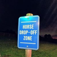 Bella Vista Equine Reproductive Services LLC ico