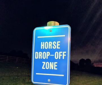 Bella Vista Equine Reproductive Services LLC