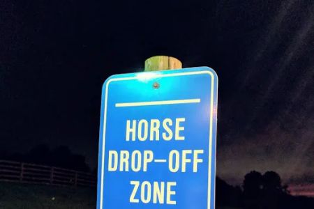 Bella Vista Equine Reproductive Services LLC