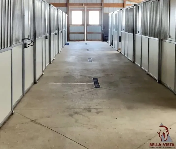 Bella Vista Equine Reproductive Services LLC 8