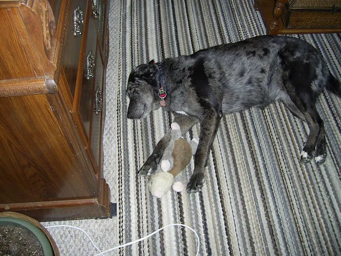 Star Prairie Veterinary Clinic 10