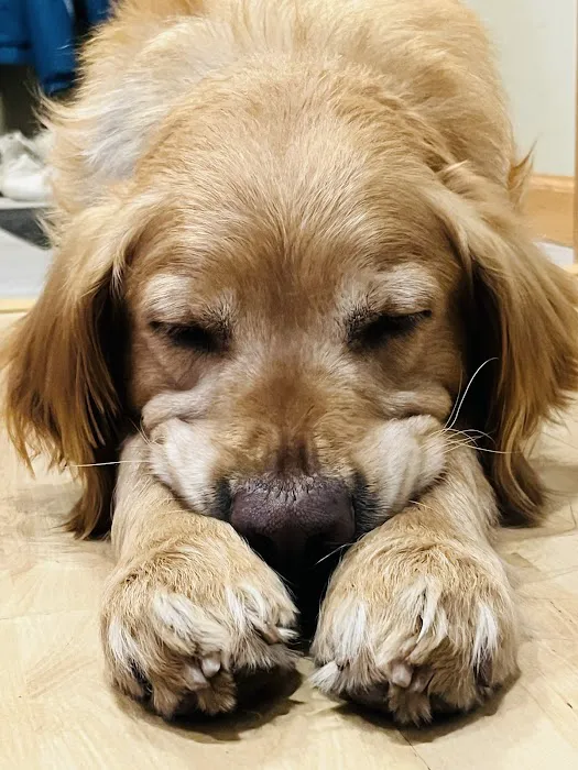 Somerset Animal Hospital 6
