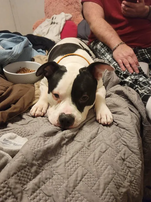 Somerset Animal Hospital 10