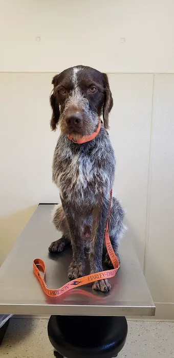 East Central Veterinarians 7