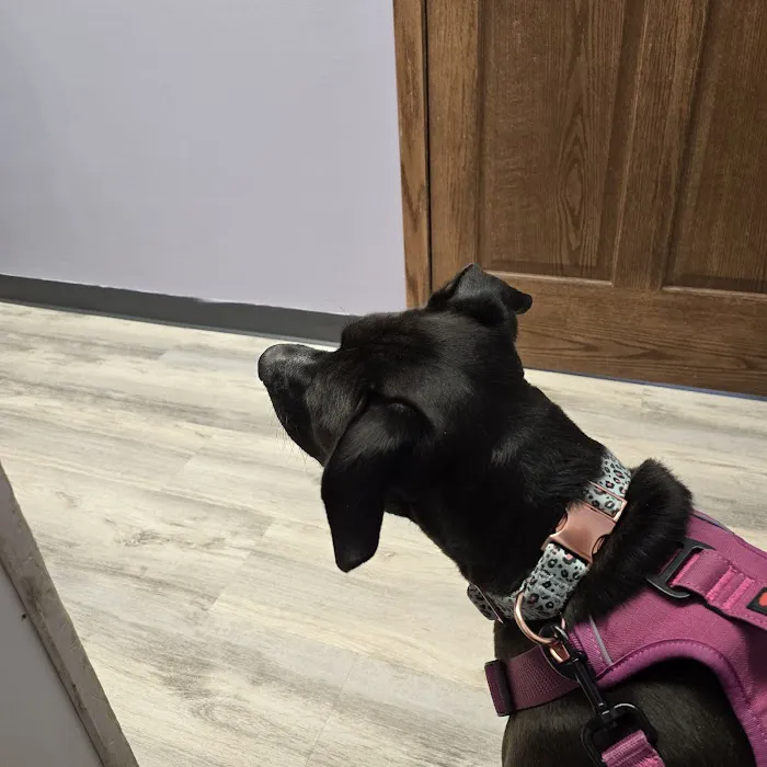 Isanti Pet Clinic 8