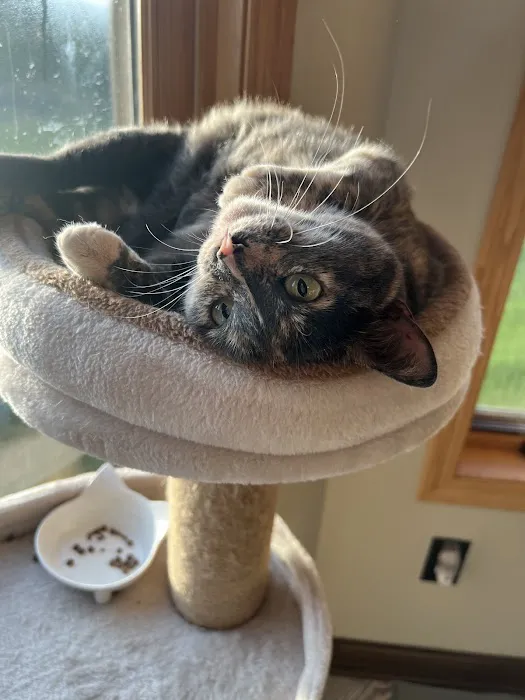 Isanti Pet Clinic 2