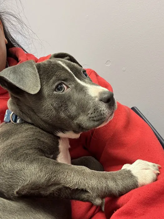 Isanti Pet Clinic 5
