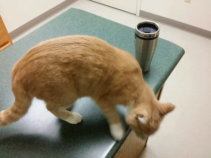 New Richmond Veterinary Clinic 9