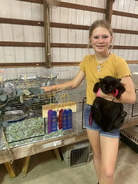 Purple Cat Vet - Baldwin, WI 6