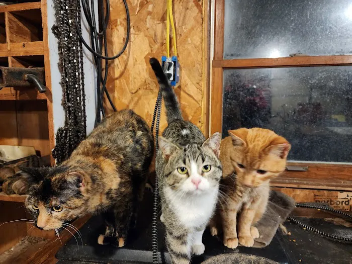 Purple Cat Vet - Baldwin, WI 10
