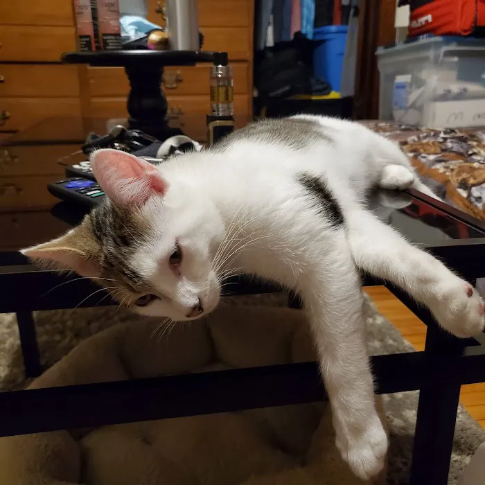 Homestead Veterinary Clinic 8