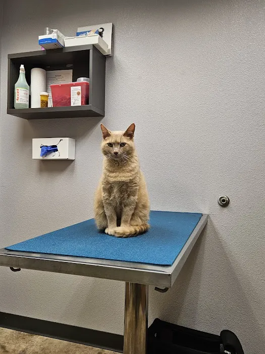 Homestead Veterinary Clinic 5