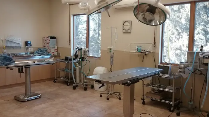 Pierce Veterinary Clinic 6