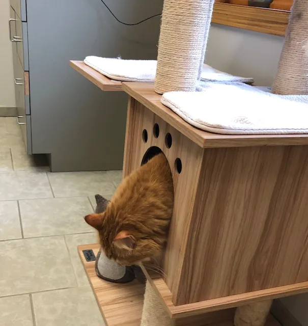 St. Boni Pet Hospital 7